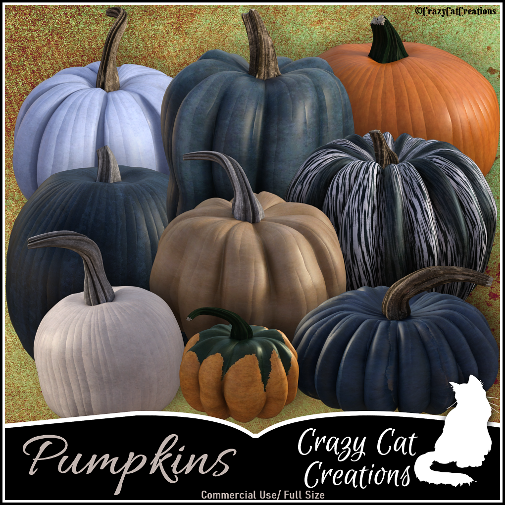 CCC_Pumpkins CU - Click Image to Close